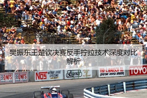 樊振东王楚钦决赛反手拧拉技术深度对比解析