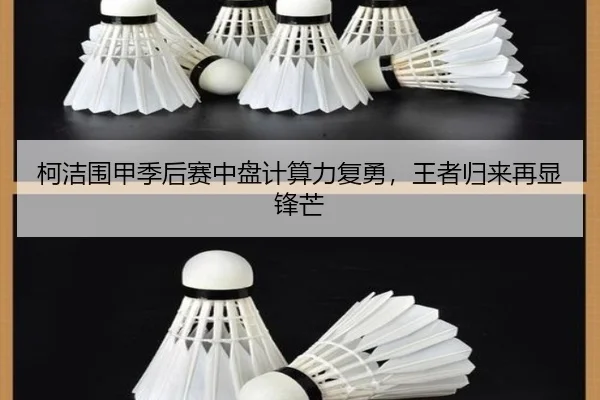 柯洁围甲季后赛中盘计算力复勇，王者归来再显锋芒
